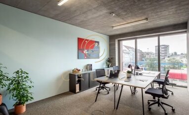 Bürokomplex zur Miete Provisionsfrei 3.000 m² Bürofläche teilbar ab 1 m² Mühlau Mannheim 68159