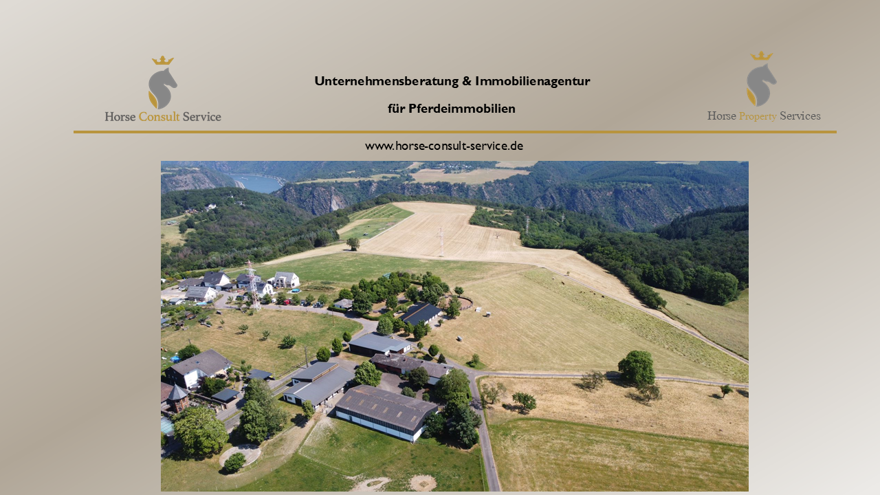 Bauernhof zum Kauf 1.250.000 € 278 m²<br/>Fläche 166.000 m²<br/>Grundstück Holzfeld Boppard 56154