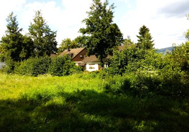 Grundstück zum Kauf 330.000 € 339 m² Grundstück Muffendorf Bonn 53177