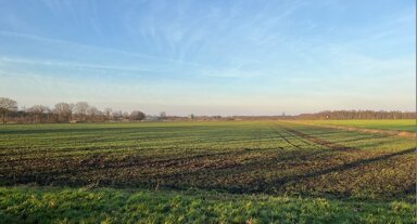 Landwirtschaftliche Fläche zum Kauf 25.950 m² Grundstück Neugnadenfeld Ringe 49824