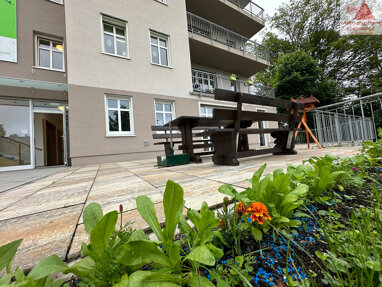 Wohnung zur Miete 440 € 1 Zimmer 43,7 m² Nordstraße 12 Auerbach Auerbach/Vogtland 08209
