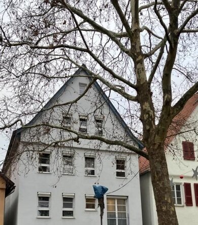 Wohnung zum Kauf 155.000 € 2,5 Zimmer 55,3 m² 2. Geschoss Kirchheim Kirchheim 73230