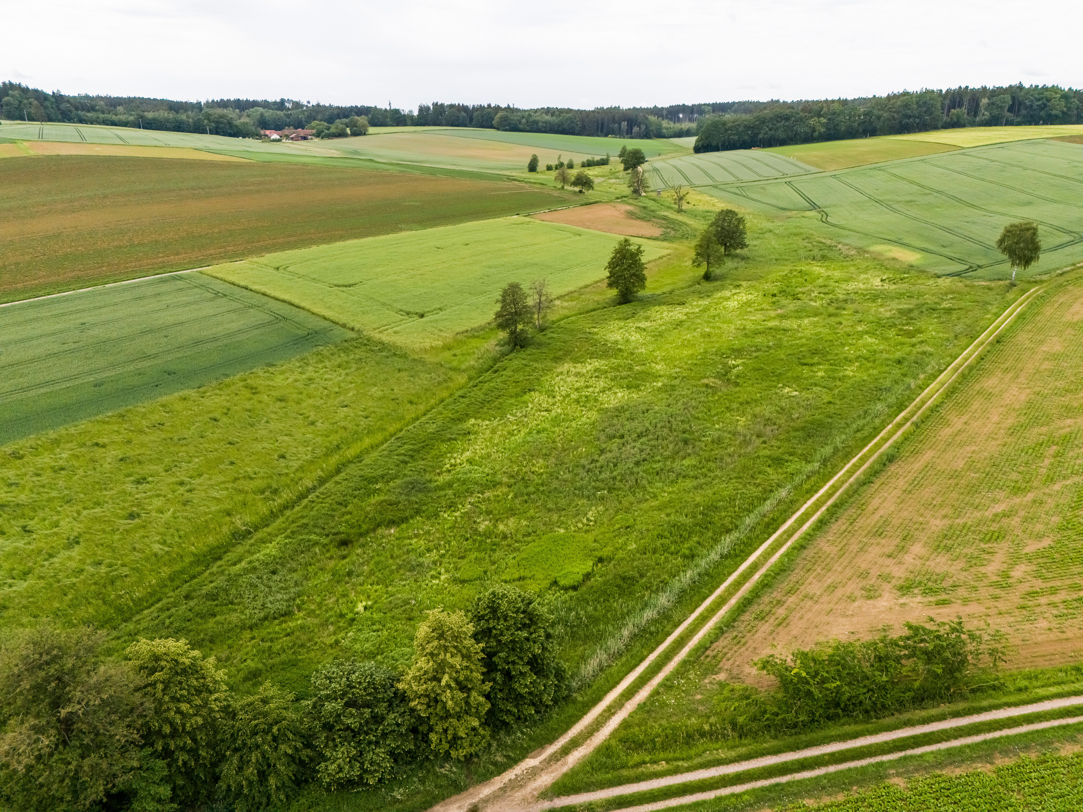 Land-/Forstwirtschaft zum Kauf 130.000 € 21.127 m²<br/>Grundstück Schierling Schierling