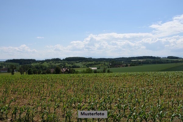 Land-/Forstwirtschaft zum Kauf 7.000 € 1.979 m²<br/>Grundstück Bantin Bantin 19246