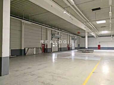 Halle/Industriefläche zur Miete 7.800 m² Lagerfläche teilbar ab 3.800 m² Nächstebreck - Ost Wuppertal 42279