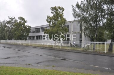 Bürofläche zur Miete 844,5 m² Bürofläche Burgsteinfurt Steinfurt 48565