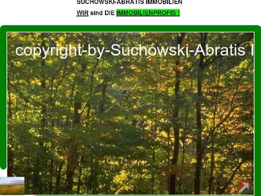 Land-/Forstwirtschaft zum Kauf 19.900 € 21.500 m² Grundstück Luckau 15926