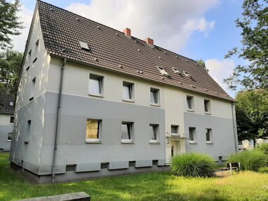 Wohnung zur Miete 247 € 2,5 Zimmer 38,5 m² Erdgeschoss Luisenstraße 8 Lirich - Süd Oberhausen 46049