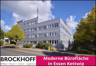 Bürofläche zur Miete Provisionsfrei 14 Zimmer 700 m² Bürofläche teilbar ab 700 m² Kettwig Essen 45219