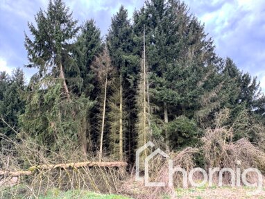 Land-/Forstwirtschaft zum Kauf 777 € 969 m² Grundstück Wiesenau 15295