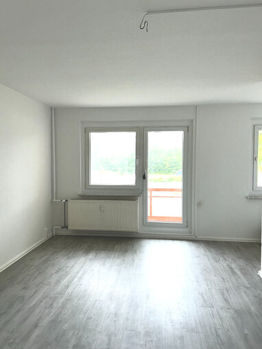 Wohnung zur Miete 305 € 1 Zimmer 36,1 m² Erdgeschoss Brackestraße 17 Lausen-Grünau Leipzig 04207