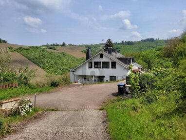 Einfamilienhaus zum Kauf 690.000 € 10 Zimmer 250 m² 12.000 m² Grundstück Neu-Kürenz 1 Trier 54296