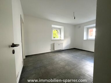Wohnung zur Miete 690 € 2 Zimmer 46 m² Erdgeschoss frei ab sofort Scheibe Weiden in der Oberpfalz 92637