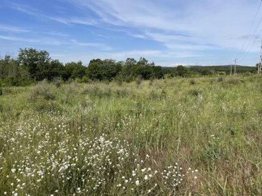 Landwirtschaftliche Fläche zum Kauf 33.900 € Benkovski