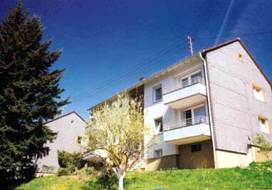 Wohnung zur Miete 469 € 3 Zimmer 58 m² 1. Geschoss Denkmalsweg 2 Gosenbach Siegen 57080