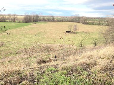 Land-/Forstwirtschaft zum Kauf 113.720 m² Grundstück Pegau Pegau 04539