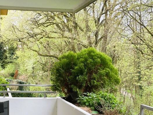 Studio zur Miete 550 € 1 Zimmer 41,5 m² 1. Geschoss frei ab sofort Mögeldorf Nürnberg 90482