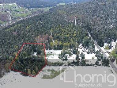 Land-/Forstwirtschaft zum Kauf 3.900 € 7.070 m² Grundstück Rittersgrün Breitenbrunn/Erzgebirge 08359