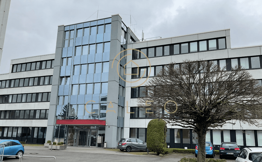 Bürofläche zur Miete provisionsfrei 10,50 € 2.269,5 m²<br/>Bürofläche ab 120,1 m²<br/>Teilbarkeit Rheinfeld / Hagenauer Straße Wiesbaden 65203