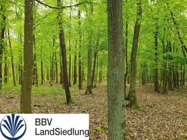 Forstwirtschaft zum Kauf 195.000 € 62.843 m² 62.843 m² Grundstück Sulzdorf Stadtlauringen 97488