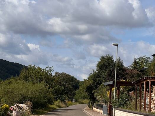 Grundstück zum Kauf 39.500 € 911 m² Grundstück Rosenstraße 13 Schiersfeld 67823