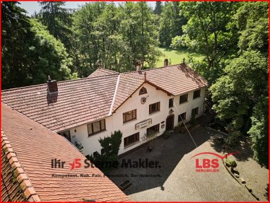 Mehrfamilienhaus zum Kauf 890.000 € 12 Zimmer 300 m² 60.000 m² Grundstück Wattenheim 67319
