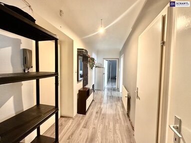 Wohnung zum Kauf 270.000 € 2 Zimmer 58 m² Erdgeschoss Schottenaustraße Wien 1200