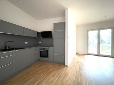 Wohnung zur Miete 706,50 € 2 Zimmer 48,1 m² Erdgeschoss Haus B / Leopoldstr. 4 Connewitz Leipzig 04277