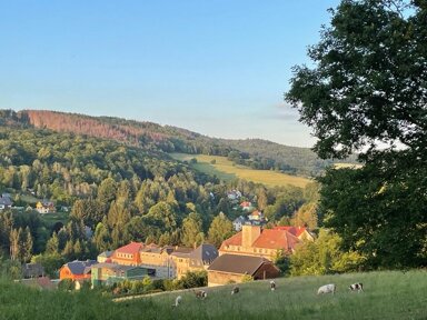 Mehrfamilienhaus zum Kauf 240.000 € 65 Zimmer 1.336 m² 3.450 m² Grundstück Sebnitz Sebnitz 01855