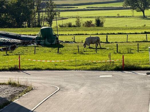 Wohnung zur Miete 1.450 € 3 Zimmer 95 m² Geschoss 1/2 frei ab sofort Wielenbach 82407