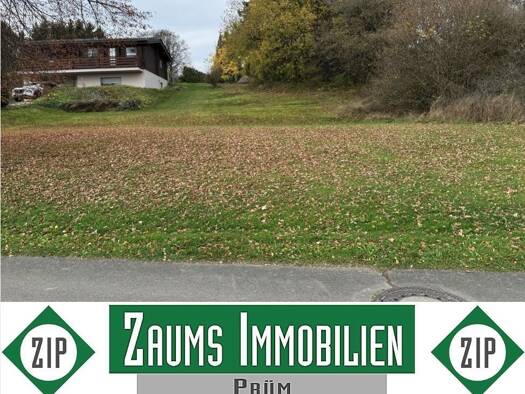 Grundstück zum Kauf 69.000 € 1.131 m² Grundstück Weißenseifen Hersdorf 54597