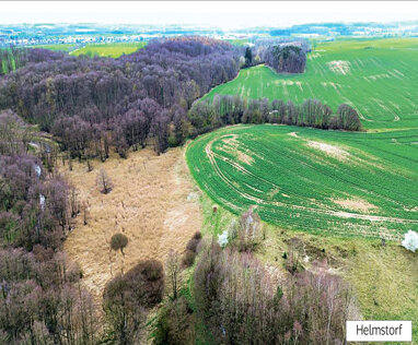 Grundstück zum Kauf 3.000 € 41.532 m² Grundstück Amt Tessin