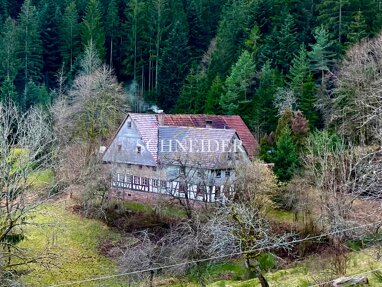 Bauernhaus zum Kauf 198.000 € 252 m² 4.135 m² Grundstück Schiltach Schiltach 77761