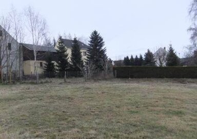 Grundstück zum Kauf 52.000 € 1.000 m² Grundstück Rebesgrün Auerbach/Vogtland 08209