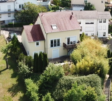 Mehrfamilienhaus zum Kauf Provisionsfrei 568.000 € 10 Zimmer 1.384 m² Grundstück Petersstrasse Bollendorf Bollendorf 54669