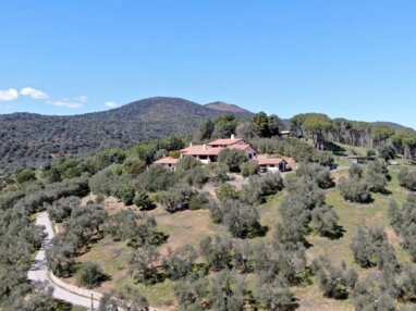 Bauernhaus zum Kauf 1.750.000 € 22 Zimmer 730 m² 100.000 m² Grundstück frei ab sofort Castiglione della Pescaia