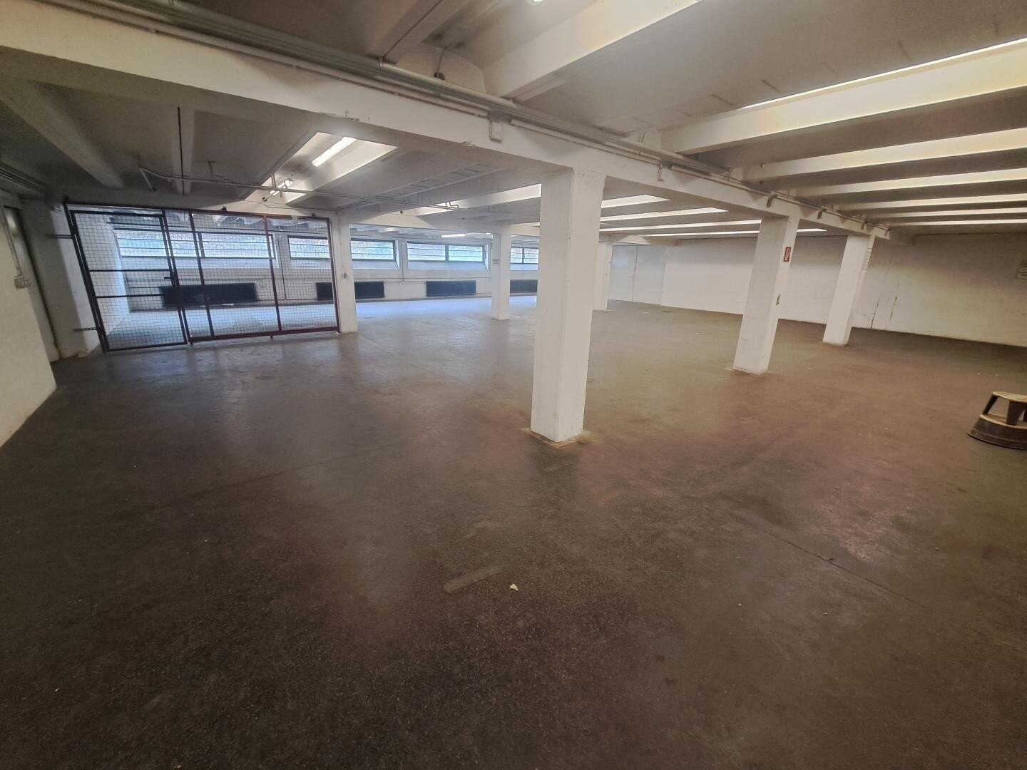 Halle/Industriefläche zur Miete 2.000 € 250 m²<br/>Lagerfläche Wien 1230