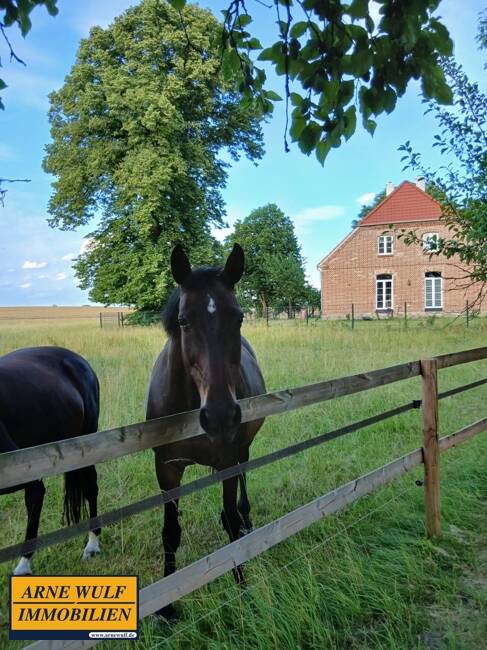Immobilie in Leezen - "Bauernhof in traumhafter Alleinlage - Natur pur vor den Toren Schwerins" - Bild 0