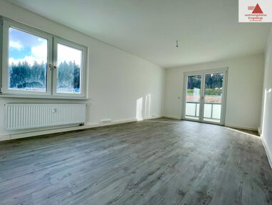 Wohnung zur Miete 620 € 3 Zimmer 77,5 m² Erdgeschoss Walter-Richter-Str. 1 Altenberg Altenberg 01773