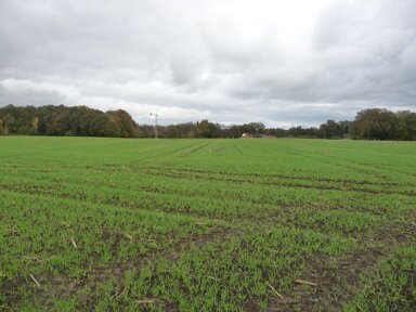 Landwirtschaftliche Fläche zum Kauf 55.489 m² Grundstück Menslage Menslage 49637