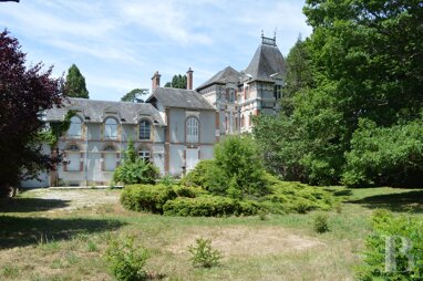Schloss zum Kauf 499.000 € 11 Zimmer 400 m² 13.344 m² Grundstück Charité-sur-Loire 58400
