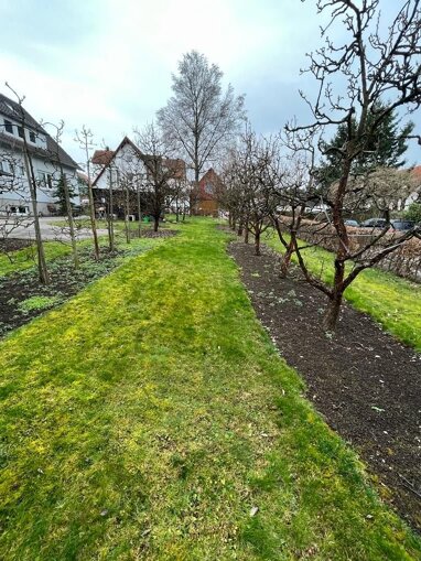Grundstück zum Kauf 295.000 € 468 m² Grundstück Lindorf Kirchheim unter Teck 73230