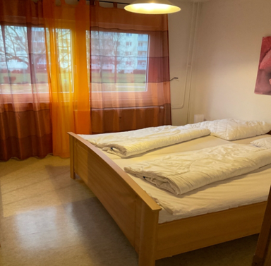 Wohnung zur Miete 248 € 2 Zimmer 41,2 m² 1. Geschoss Friedrich-Hesekiel-Str. 10 Silberhöhe Halle (Saale) 06132