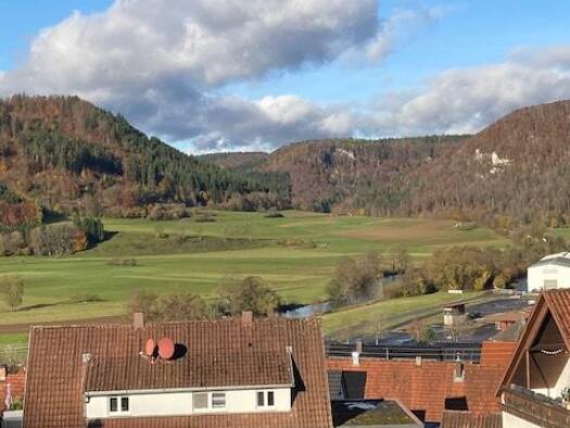 Wohnung zur Miete 780 € 4 Zimmer 77 m² Geschoss 2/3 frei ab 01.03.2026 Fridingen an der Donau 78567