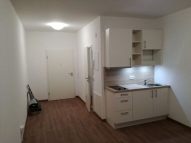 Apartment zur Miete 500 € 1,5 Zimmer 24 m² 2. Geschoss Olewigerstr 7 Olewig 1 Trier 54295