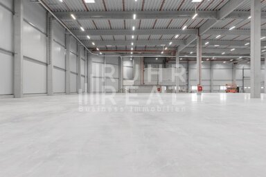 Lagerhalle zur Miete provisionsfrei 9,20 € 1.800 m² Lagerfläche teilbar ab 1.800 m² Vogelsang Neuss 41462