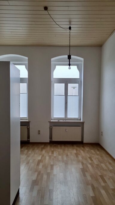 Wohnung zur Miete 250 € 1,5 Zimmer 35 m² Knielohstraße 40 Ostvorstadt Plauen 08527