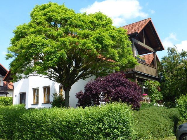 Mehrfamilienhaus zum Kauf 1.190.000 € 14 Zimmer 333 m²<br/>Wohnfläche 753 m²<br/>Grundstück Eschbach Usingen 61250