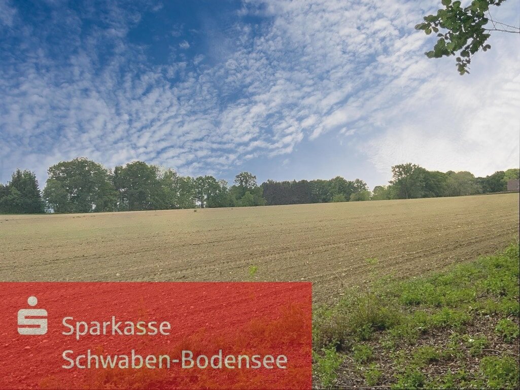 Landwirtschaftliche Fläche zum Kauf 85.000 € 10.370 m²<br/>Grundstück Tussenhausen Tussenhausen 86874