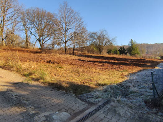 Grundstück zum Kauf 115.000 € 2.935 m² Grundstück Neuhemsbach 67680